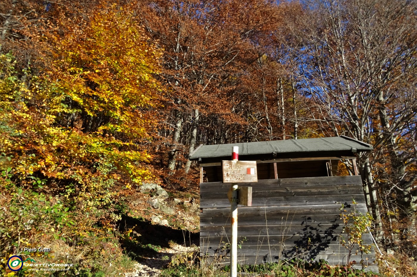 24 Si rientra nel bosco di faggeta.JPG